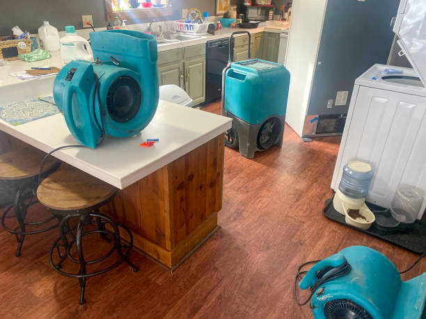  Forest Hills, MI Water damage restoration Pros