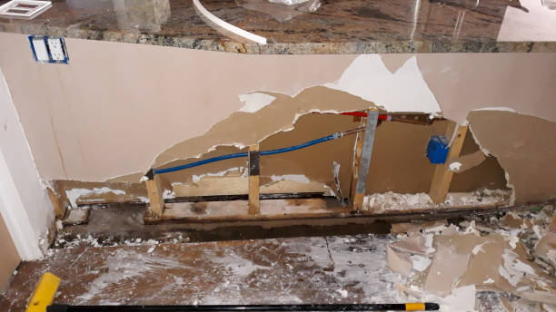 Best Residential water damage restoration  in Forest Hills, MI