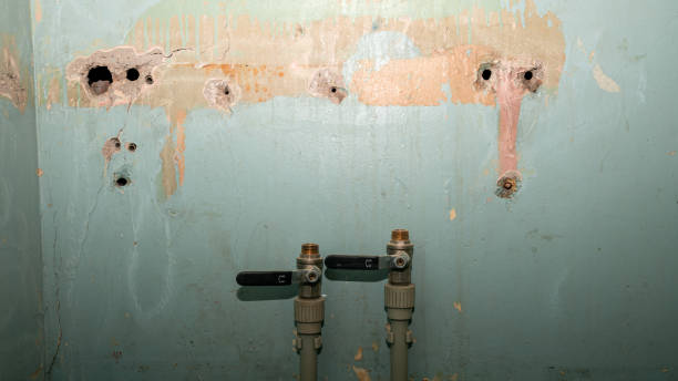 Best Commercial water damage restoration  in Forest Hills, MI