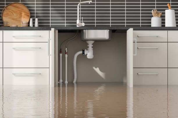Best Water damage restoration near me  in Forest Hills, MI