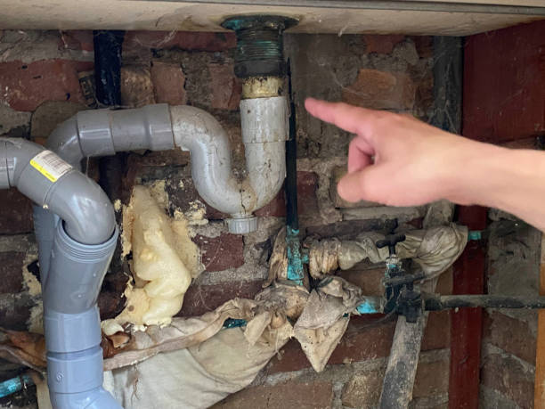 Best 24/7 water damage repair  in Forest Hills, MI
