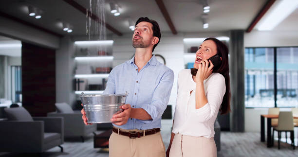 Best Water damage restoration process  in Forest Hills, MI